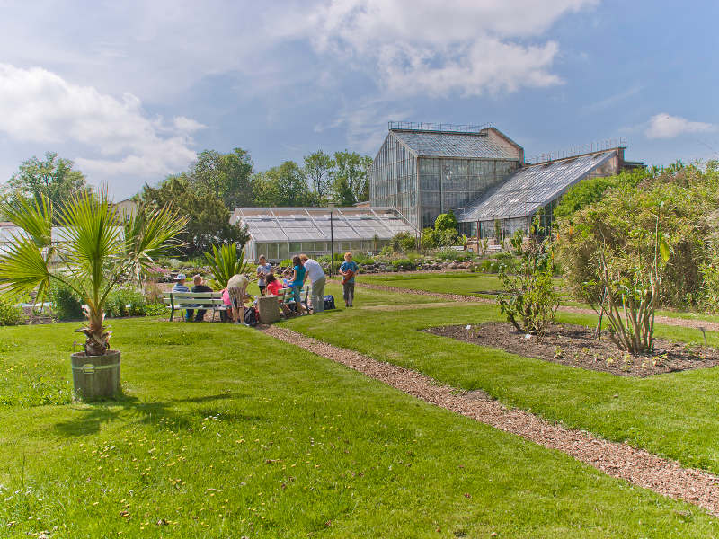 Botanischer Garten Urlaub In Greifswald