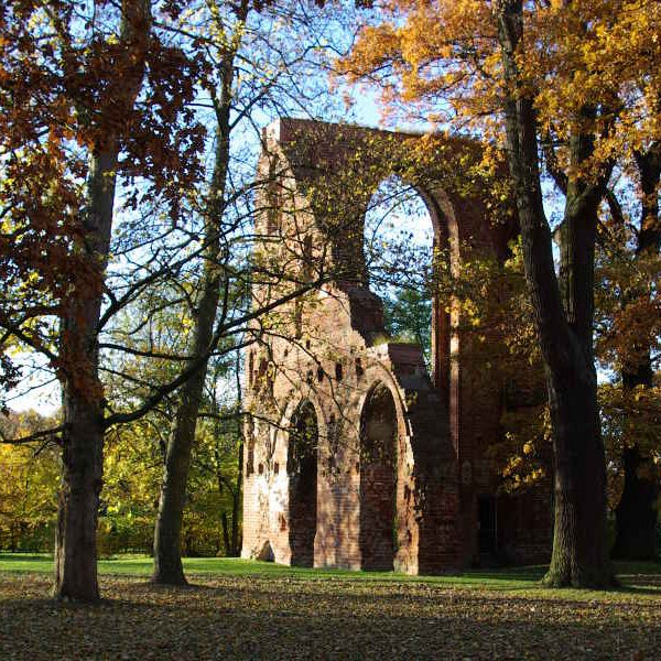 Klosterruine Eldena im Herbst