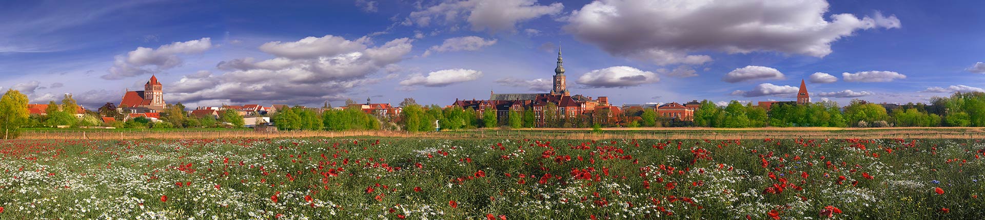 Poppies & Brick Churches