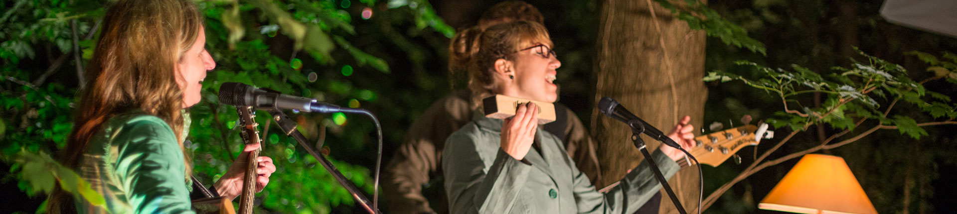 Concert in the climbing forest