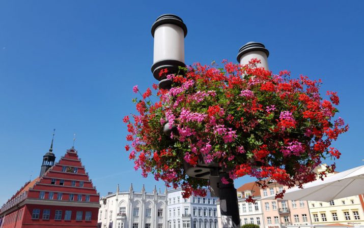 Blumenampel Greifswald