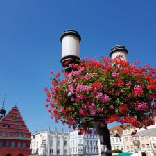 Blumenampeln schmücken die Laternen